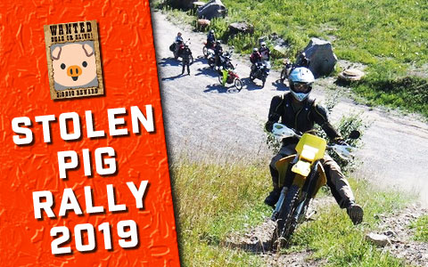 stolen-pig-rally-2019