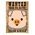 Stolen Pig Rally